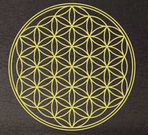 Mandala Fleur de Vie  -  Sticker mural